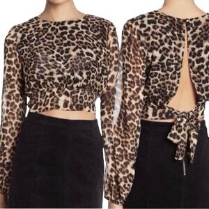 Animal Print Crop Top Blouse